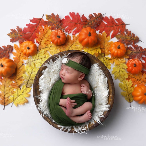 Herfst pasgeboren digitale achtergrond, val achtergrond, pasgeboren foto prop, babyfoto, herfstbladeren, regenboog achtergrond, kom prop, herfst achtergrond