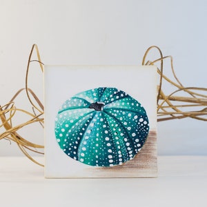 Sea urchin miniature painting on canvas, Small canvas painting urchin shell, Ocean sea life mini acrylic painting, Beach home small wall art