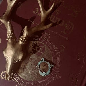 Peut inclure: Un crâne de cerf doré est posé sur un livre bordeaux avec des lettres dorées. Un petit cadre orné de couleur sarcelle contient un portrait en noir et blanc. Le titre du livre est partiellement visible.