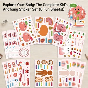 May include: A set of anatomy stickers for kids, featuring colorful illustrations of body parts and organs. The set includes eight sheets with various stickers, including a brain, kidneys, and a tooth. The text "Explore Your Body: The Complete Kid's Anatomy Sticker Set (8 Fun Sheets!)" is visible.