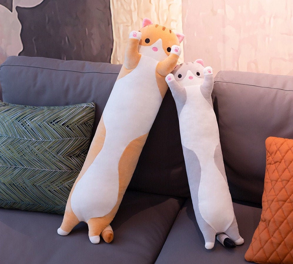long cat teddy