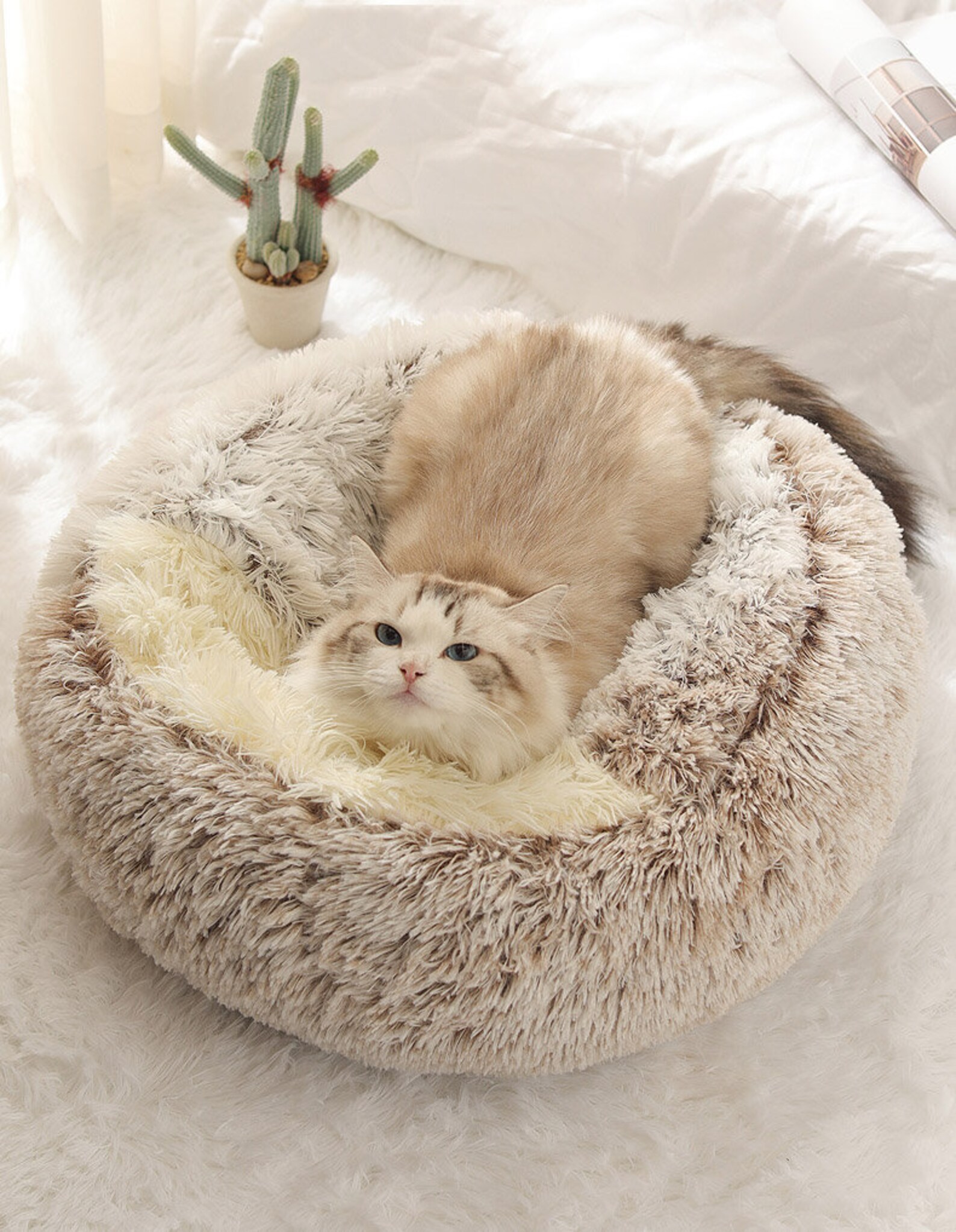 Soft Plush Cat Bed Plush Dog Cat Bed Cat Cushion Bed Pet Etsy