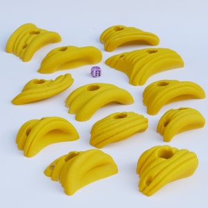 Climbing Holds Set | 12 Pieces | Small