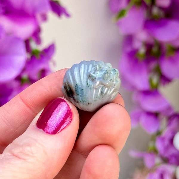 Mini Ocean Jasper Shell with Star Carving | Ocean Jasper Carving | Sea Jasper Carving | Solar Plexus Carving | Heart Chakra | Clam Shell