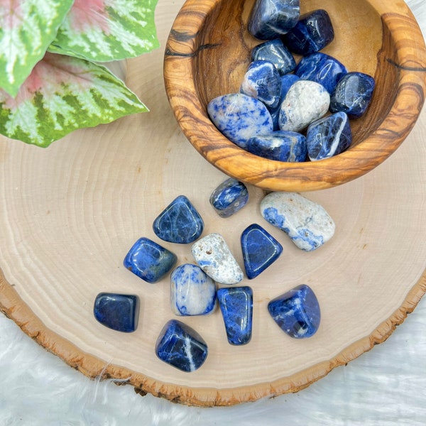 Vibrant Sodalite Tumble Pocket Stone