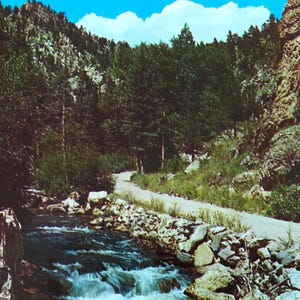 May include: A vintage postcard featuring a landscape scene of a rushing mountain stream flowing alongside a narrow dirt road. The image displays dense green pine trees, rugged rocky cliffs, and a bright blue sky with white clouds above the terrain.