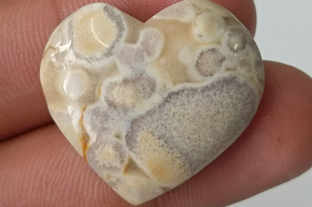 Very Rare Fossil Coral Jasper Cabochon Loose Fossil Coral Jasper Gemstone Heart Fossil Coral