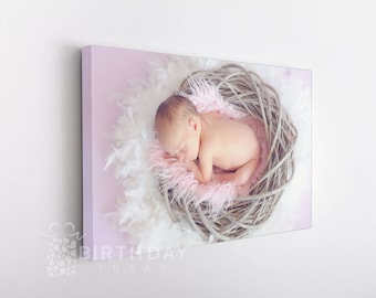 May include: A canvas print featuring a newborn baby sleeping peacefully in a woven nest. The nest is lined with pink and white feathers, creating a soft and comforting environment. The background is a soft pink hue, enhancing the gentle theme.