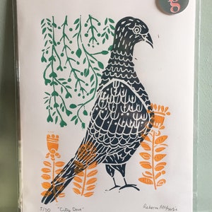 City Dove