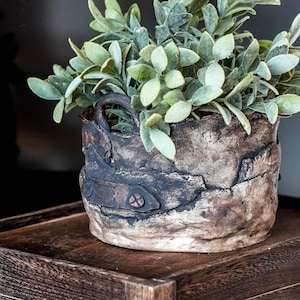 Könnte beinhalten: Eine kleine Topfpflanze mit grünen Blättern in einem rustikalen braunen Keramiktopf mit Metall-Akzenten. Der Topf steht auf einer dunklen Holzoberfläche.