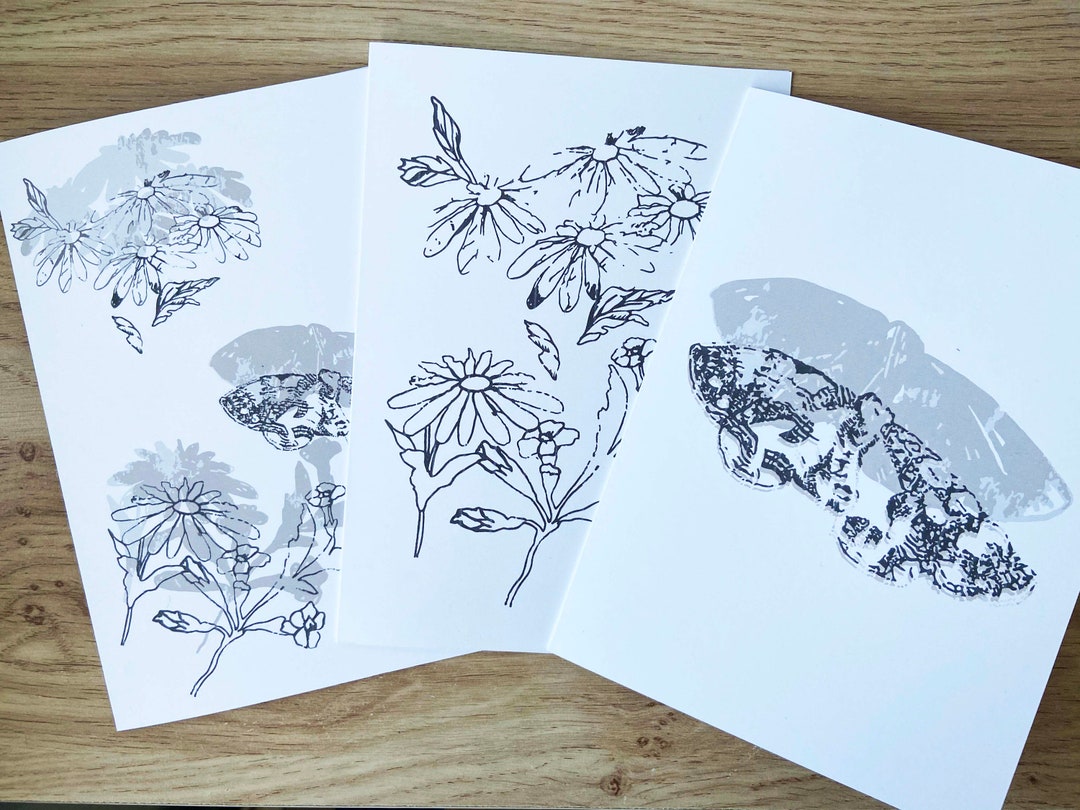 Butterfly and Daisy A5 3 Card Pack - Etsy