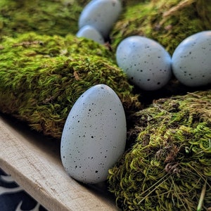 Può includere: Un nido di muschio con uova blu macchiate. Le uova sono disposte in un ambiente naturale, annidato nel muschio.
