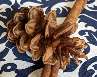 Bastoncini Di Cannella Per Decorazioni Kit Ghirlande Natalizie Fai