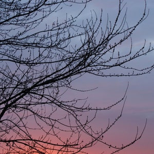 Sunrise Wall Art - Printable Wall Art - Instant Download