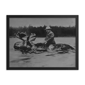 Teddy Roosevelt Riding A Moose Framed Print