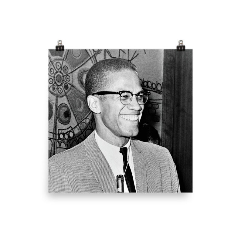 Malcolm X Poster image 6