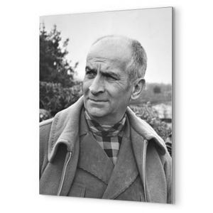 Louis de Funes: Retrato da lenda da comédia francesa