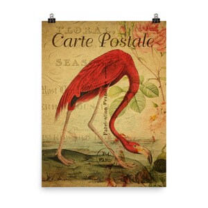 Flamingo Vintage Postal Pintura - HD Cartel Impresión