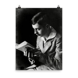 Theodor W. Adorno Poster Print