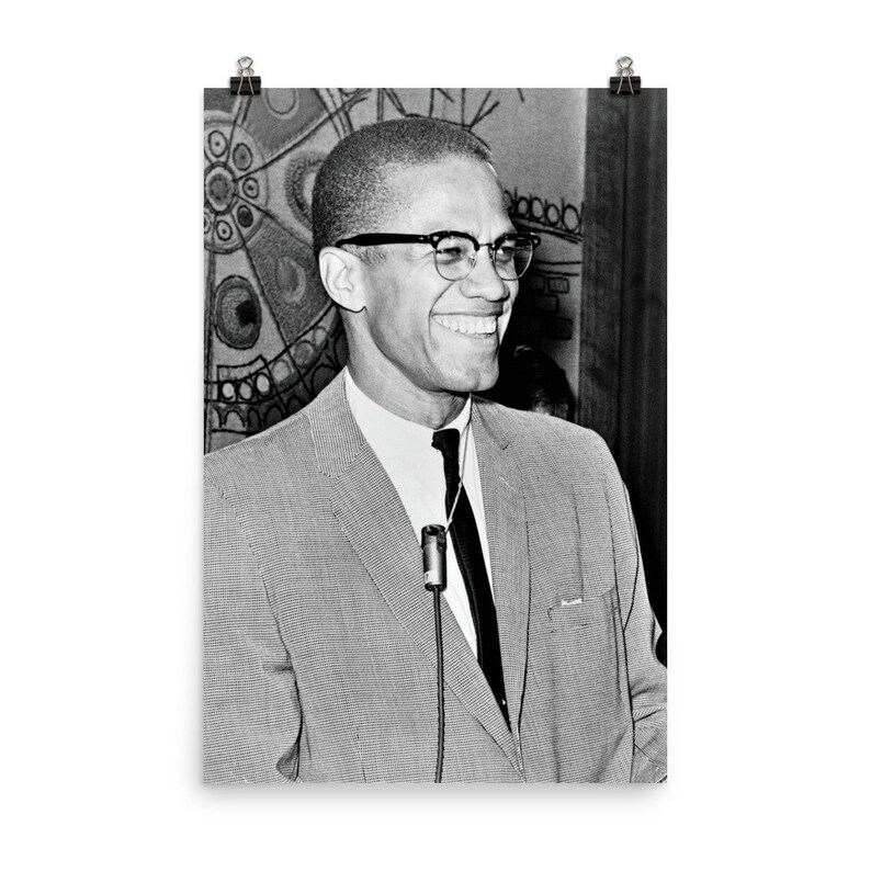 Malcolm X Poster image 10