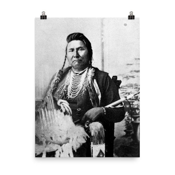 Chief Joseph Nez Perce Poster Print