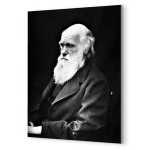 Charles Darwin Metal Print - Darwin Wall Art, Vintage Portrait, Evolutionary Scientist Decor, Naturalist Gift