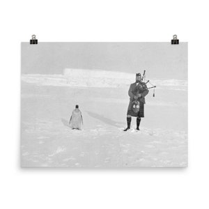 Póster de Gilbert Kerr tocando la gaita con un pingüino emperador (Expedición Antártica Nacional Escocesa)