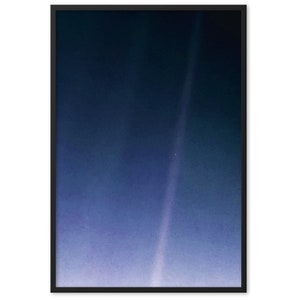 Stampa con cornice a pois blu pallido cm)