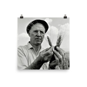 Norman Borlaug Poster Print