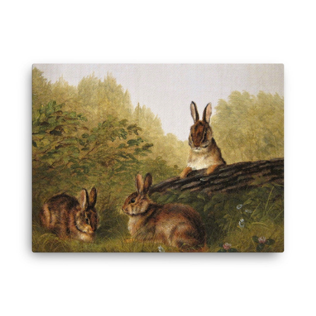 Rabbits on a Log by Arthur Fitzwilliam Tait Canvas Print Canvas Wall ...