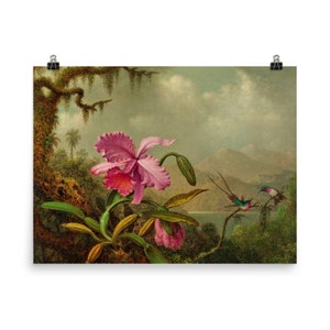 Orchids and Hummingbirds by Martin Johnson Heade Poster Print