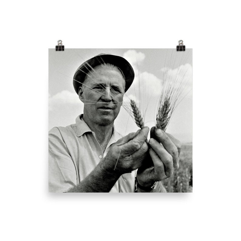 Norman Borlaug Poster Print