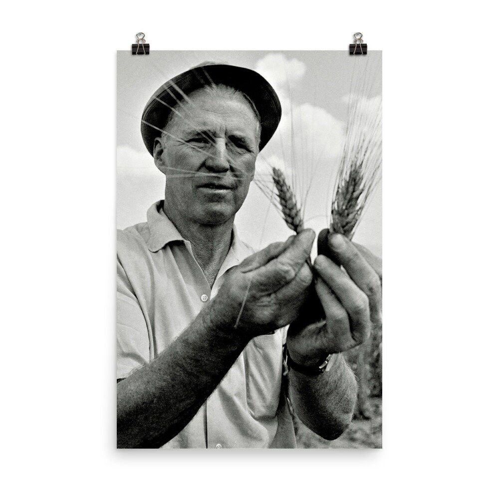 Norman Borlaug Poster Print Etsy
