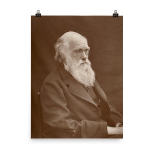 Photograph of Charles Darwin Poster Print