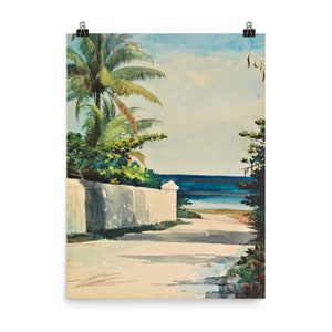 Road in Nassau by Winslow Homer Poster Print