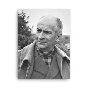 Louis de Funès Canvas Print - Canvas Wall Art
