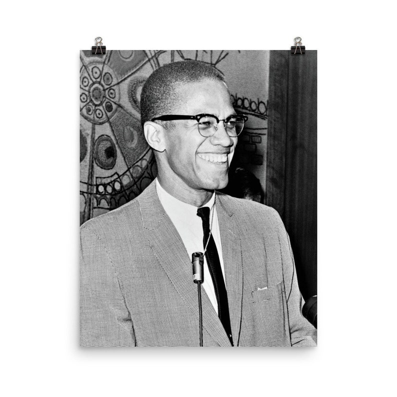 Malcolm X Poster image 8