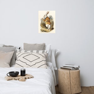 Alice in Wonderland Poster, Lewis Carroll White Rabbit Wall Art Decorations