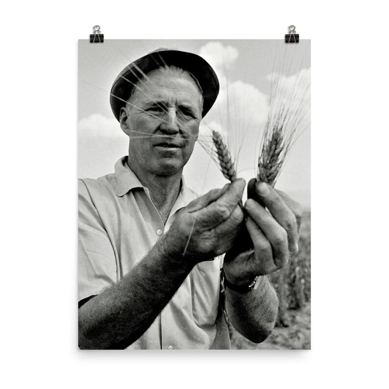 Norman Borlaug Poster Print