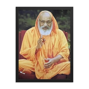 Dayananda Saraswati Framed Print