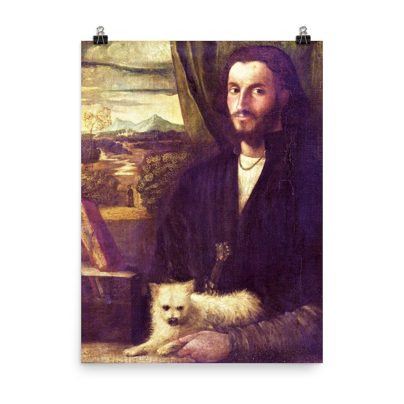 Cartel del joven Leonardo da Vinci imagen 1