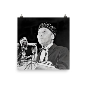 Elijah Muhammad Poster Print