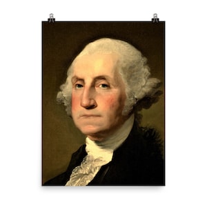 George Washington Poster Print