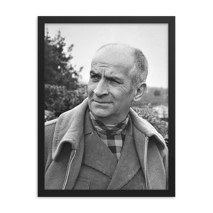 Louis de Funès Framed Print
