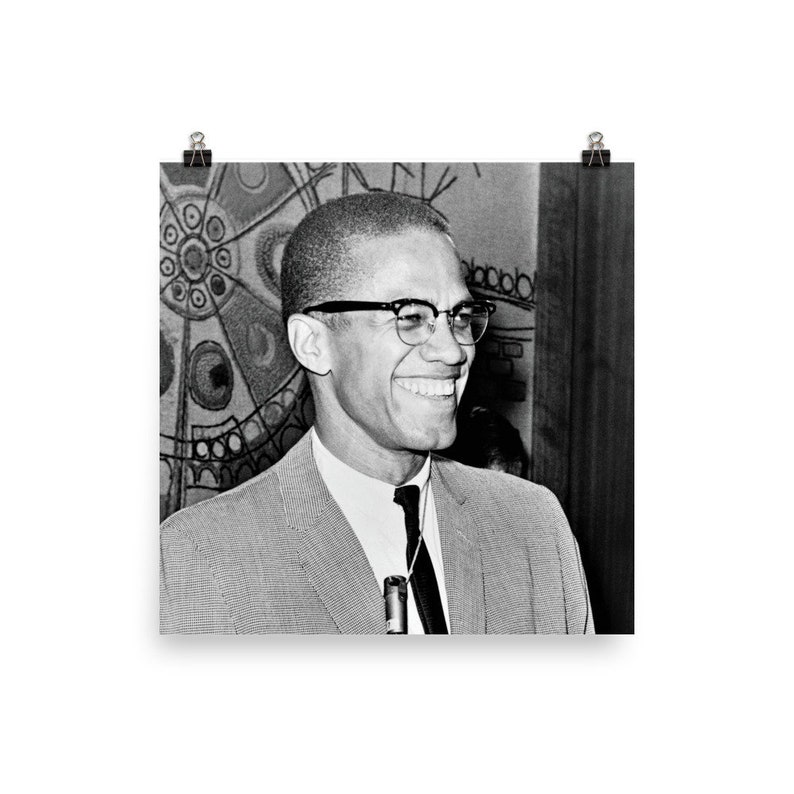 Malcolm X Poster image 2