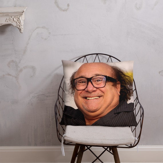 Danny DeVito Pillow Etsy