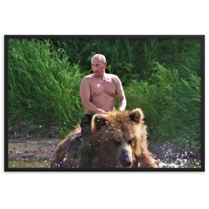 Wladimir Putin reitet einen Bären Papiergerahmter Druck (cm)