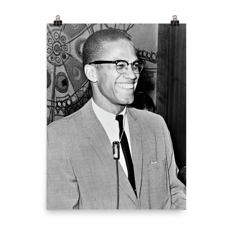 Malcolm X Poster image 1