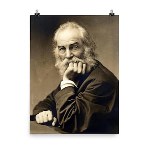 Walt Whitman Poster Print