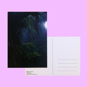 Carte postale Tropiques / impression A6